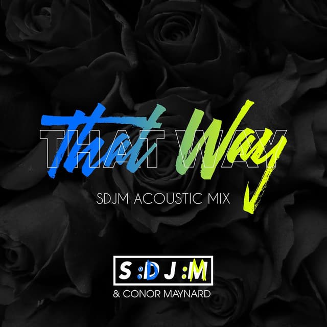 That Way (SDJM Acoustic Mix) cover