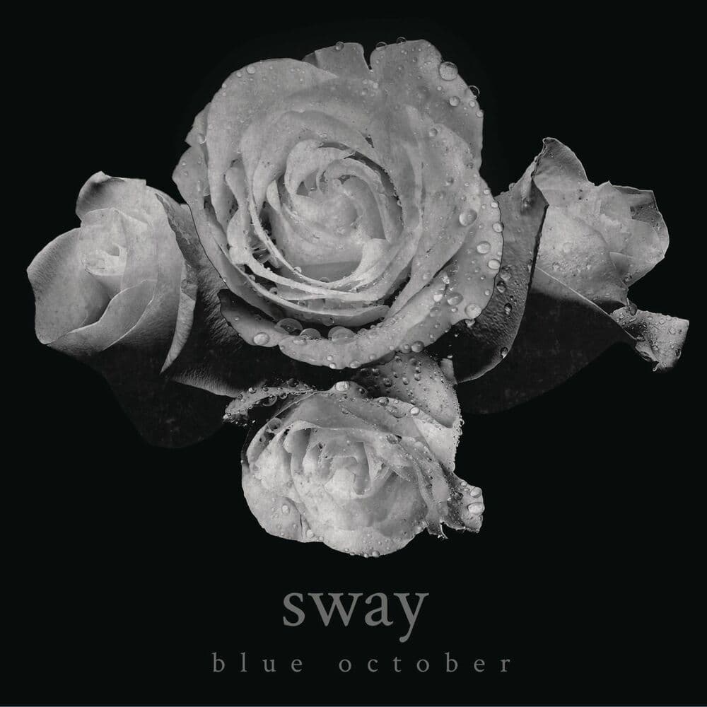 Sway cover