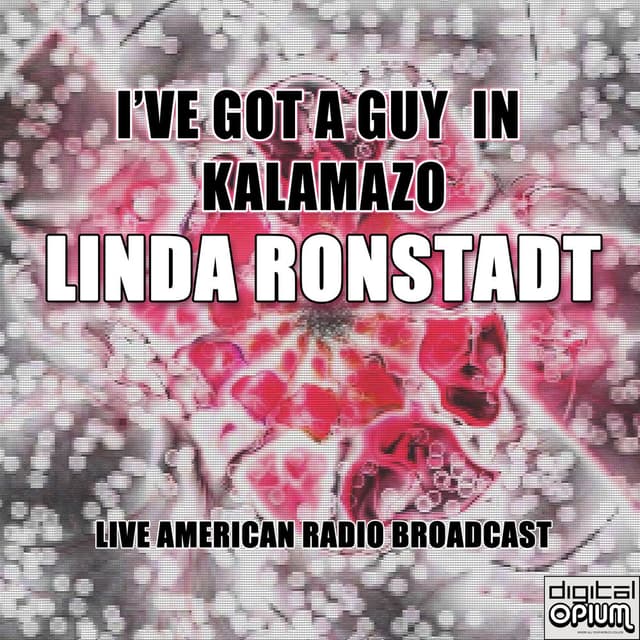 I've Got A Guy In Kalamazo (Live) cover