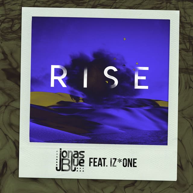 Rise cover