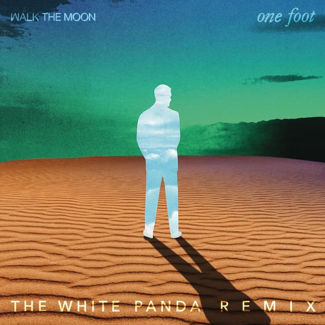 One Foot (The White Panda Remix) cover