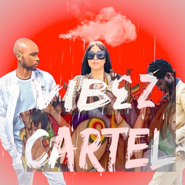 Vibez Cartel cover