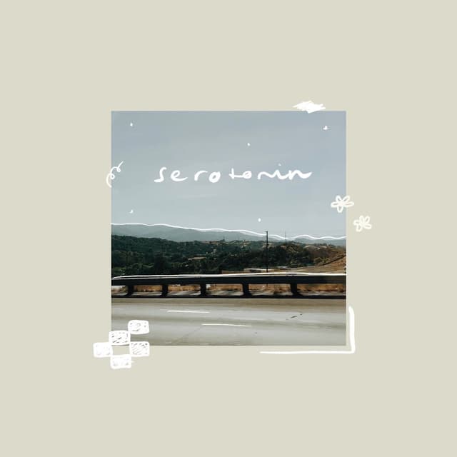 Serotonin cover