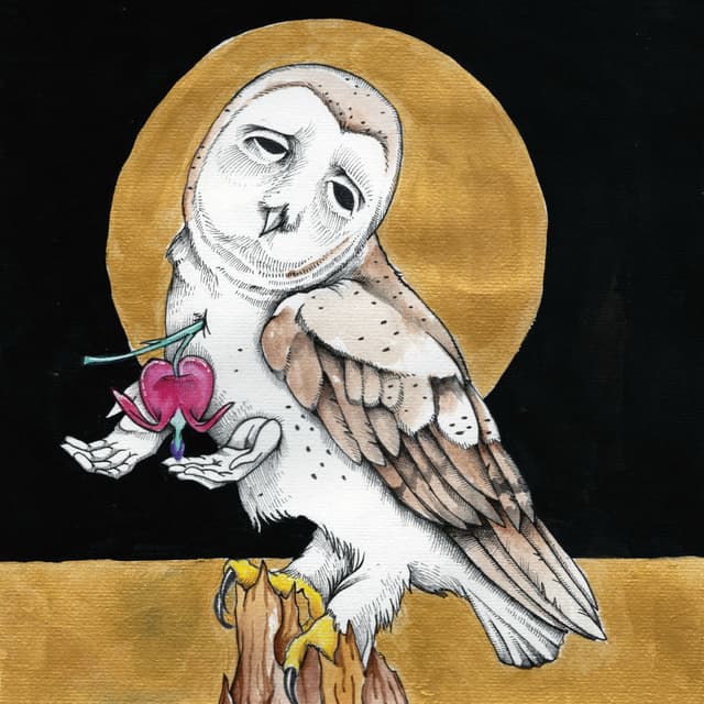 Farewell Transmission b/w The Dark Don’t Hide It cover