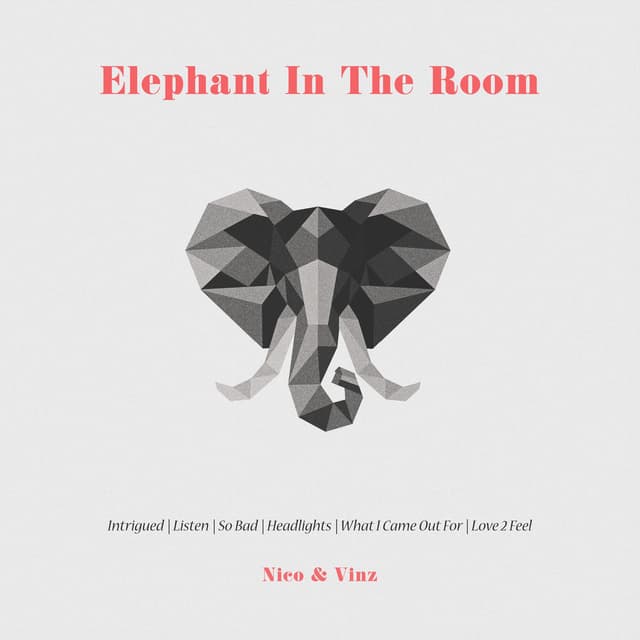 Elephant in the Room cover