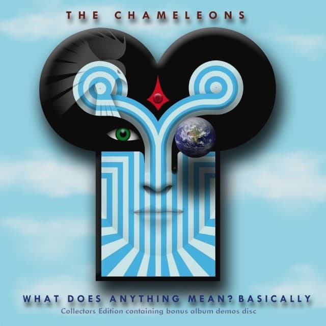 What Does Anything Mean? Basically cover